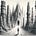 Strange Cities