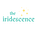 the iridescence . ݁₊ ⊹ . ݁˖ 