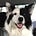 Boo and Luann’s Substack