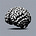 chasing brains