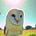 Owl Posting