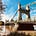 Bridged2050
