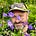 The Gardening Kind by Elliott Neep