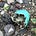 Getting Dirty: Material Entanglements in the Anthropocene