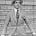 The Ponzi Papers