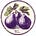 Figs in Winter: Stoicism and Beyond