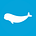 Beluga Hub: Curiosity Unleashed