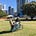 Footpath Field Guide