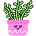 How They Grow