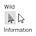 Wild Information