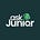 Ask Junior - Judgment Summaries