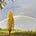 On the Land, with Kristof Farms