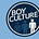 BOYCULTURE