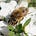 Ministry of Bees' Newsletter