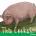 ThisCooks!