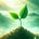 The FinanceTLDR Newsletter