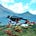 Mountain Tui