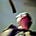 Immanent Essays