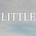The Little Things Life
