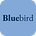 Bluebird Analytics