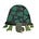 The Tortoise by Brooke McAlary