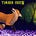 Fox at Timber Creek