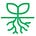 ROOTSCAMP