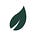 SweetLeaves’s Substack