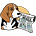 The Daily Beagle