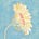 Wild FloweRebellion