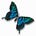 Reflections from Transformative Spirit
