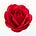 Rose Motherhood Women's Circle 🌹