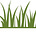 Calamus Words