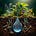 Secret Life of Seeds Substack
