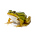The Frog Doctrine