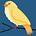 Little Yellow Bird