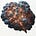 Practical Computations: From Star Clusters to Applied AI