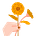 Calendula Magazine