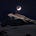 EarthShine Astrology
