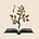 Vineyard Books