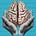 The Coddling of the American Mind Movie