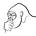 THOUGHTS OF THE HUMAN MAMMAL