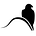 Memos from Hawk Hill Ventures