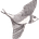 Bewilderment
