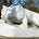 Barry Fenchak For Penn State Trustee