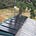 Solar-Powered Greenhouse Solutions
