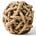 Gordian Knot News