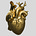 The Heart Dialogues