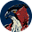 Hawk Radius