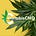CannabisCMO